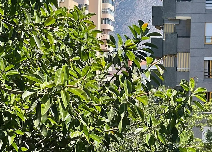 Beautiful 3 Bedrooms, 2 Baths, Balcony, Fuengirola