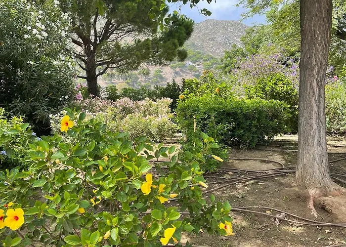 Beautiful 3 Bedrooms, 2 Baths, Balcony, *